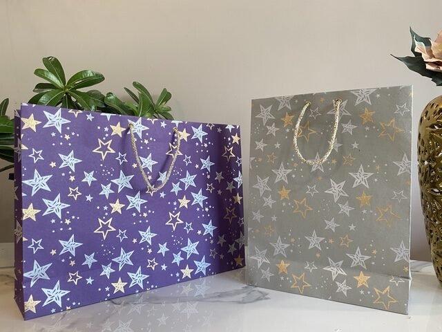 Handmade Paper Gift Bag || Eco-Friendly Paper Bag